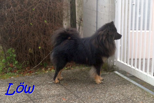 8.12.2020 - Howard erwartet Aria